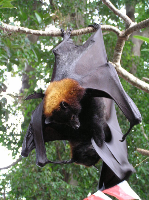 2005_indonesiatrip_255_2